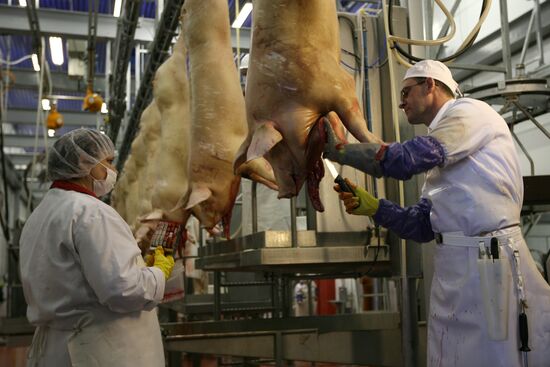Opening of Kudryashevskoye meat-processing plant