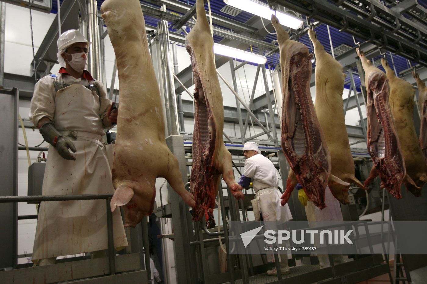 Opening of Kudryashevskoye meat-processing plant