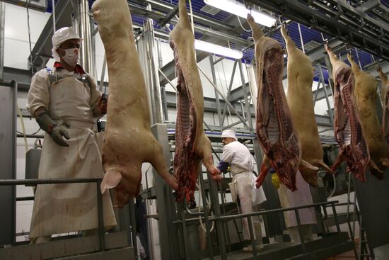 Opening of Kudryashevskoye meat-processing plant