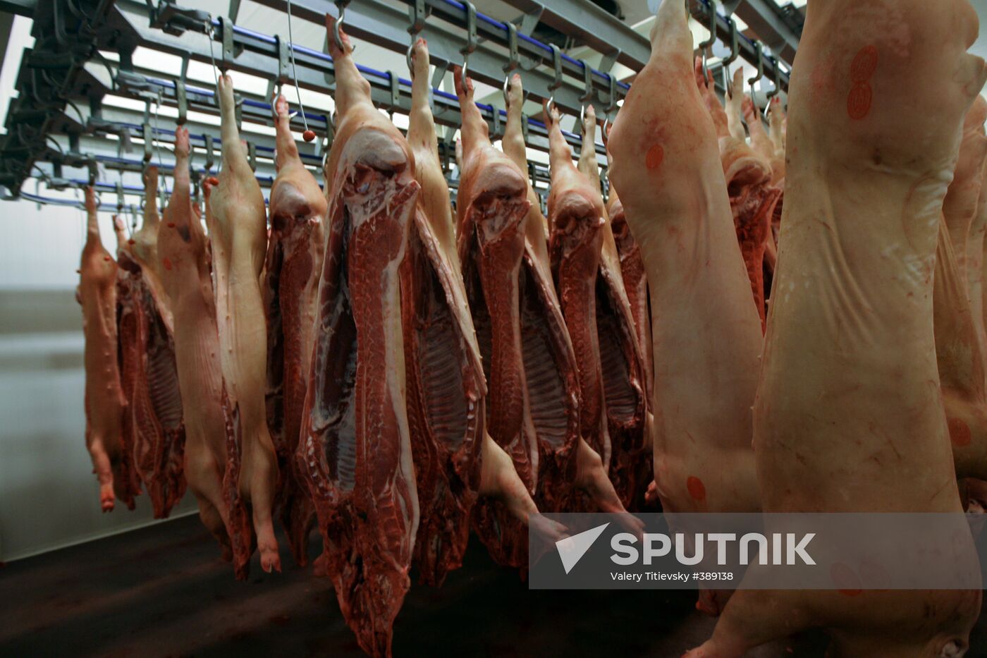 Opening of Kudryashevskoye meat-processing plant