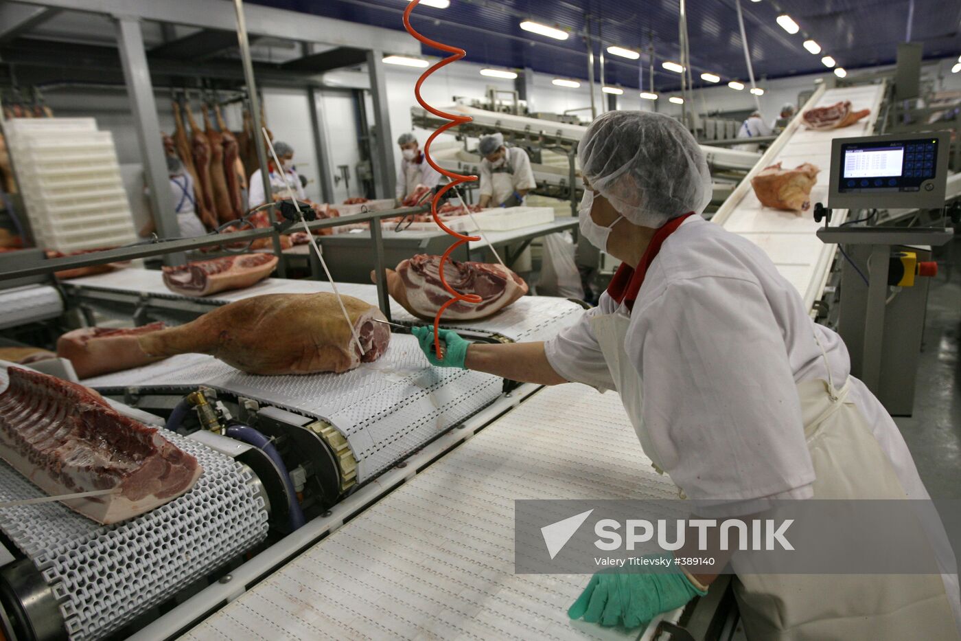 Opening of Kudryashevskoye meat-processing plant