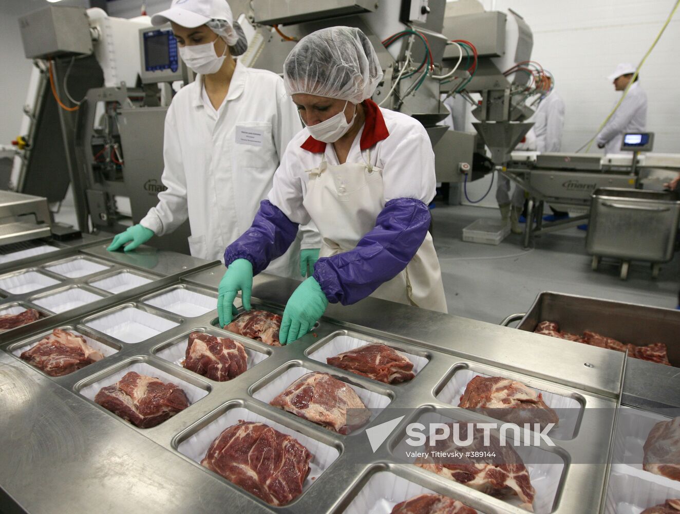 Opening of Kudryashevskoye meat-processing plant