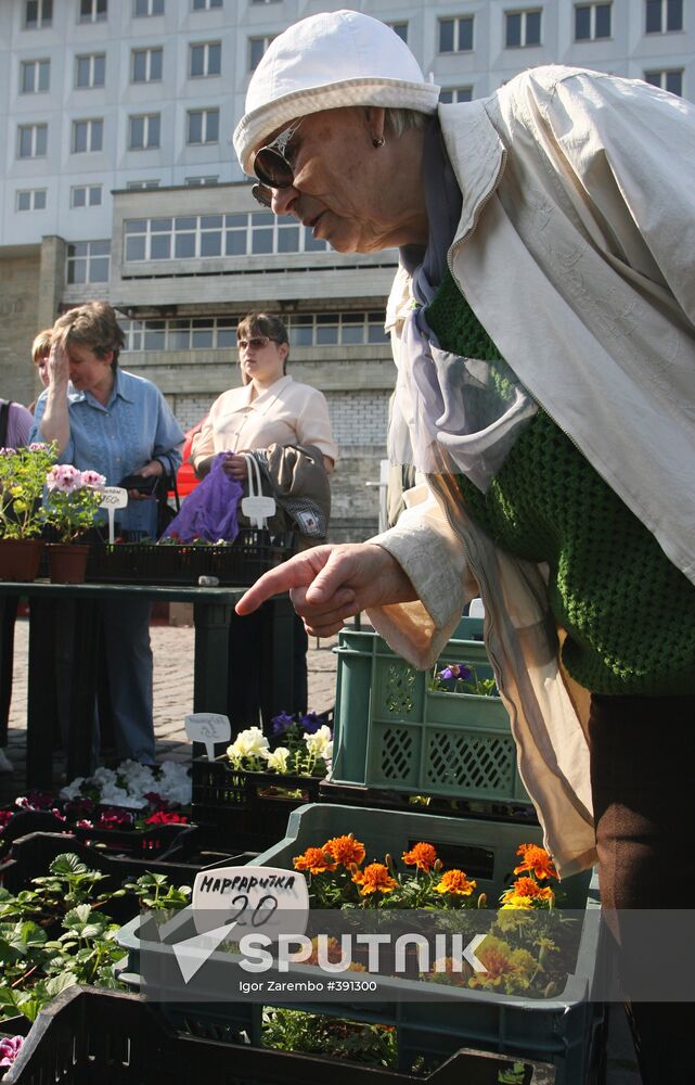 Spring fair in Kaliningrad