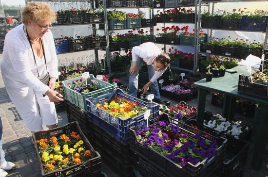 Spring fair in Kaliningrad