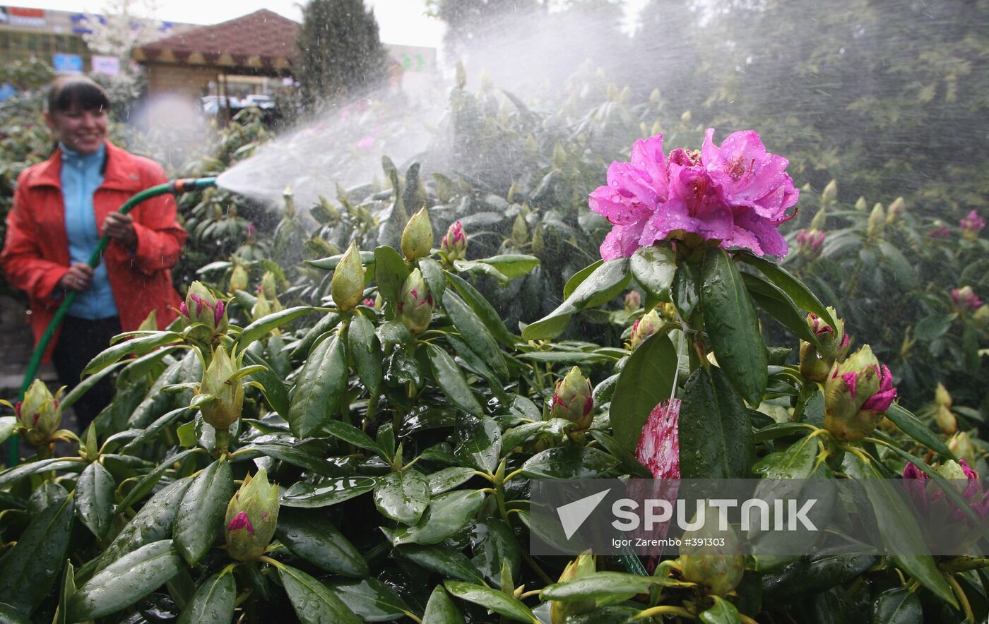 Spring fair in Kaliningrad