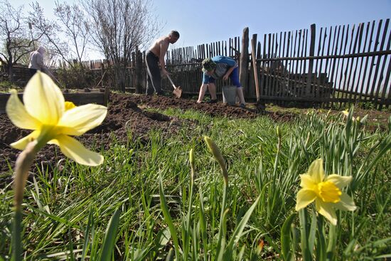 Dacha season