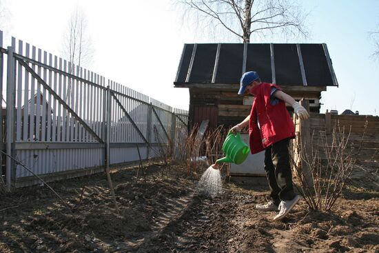 Dacha season
