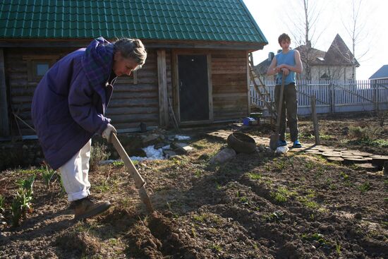 Dacha season