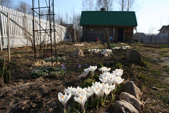 Dacha season
