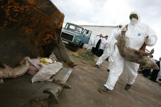Swine flu prevention exercise in Tatarstan