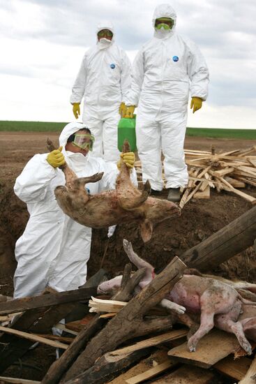 Swine flu prevention exercise in Tatarstan