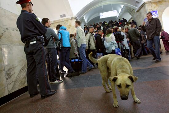 Kurskaya Station, Circular Line, opens its lobby after repairs