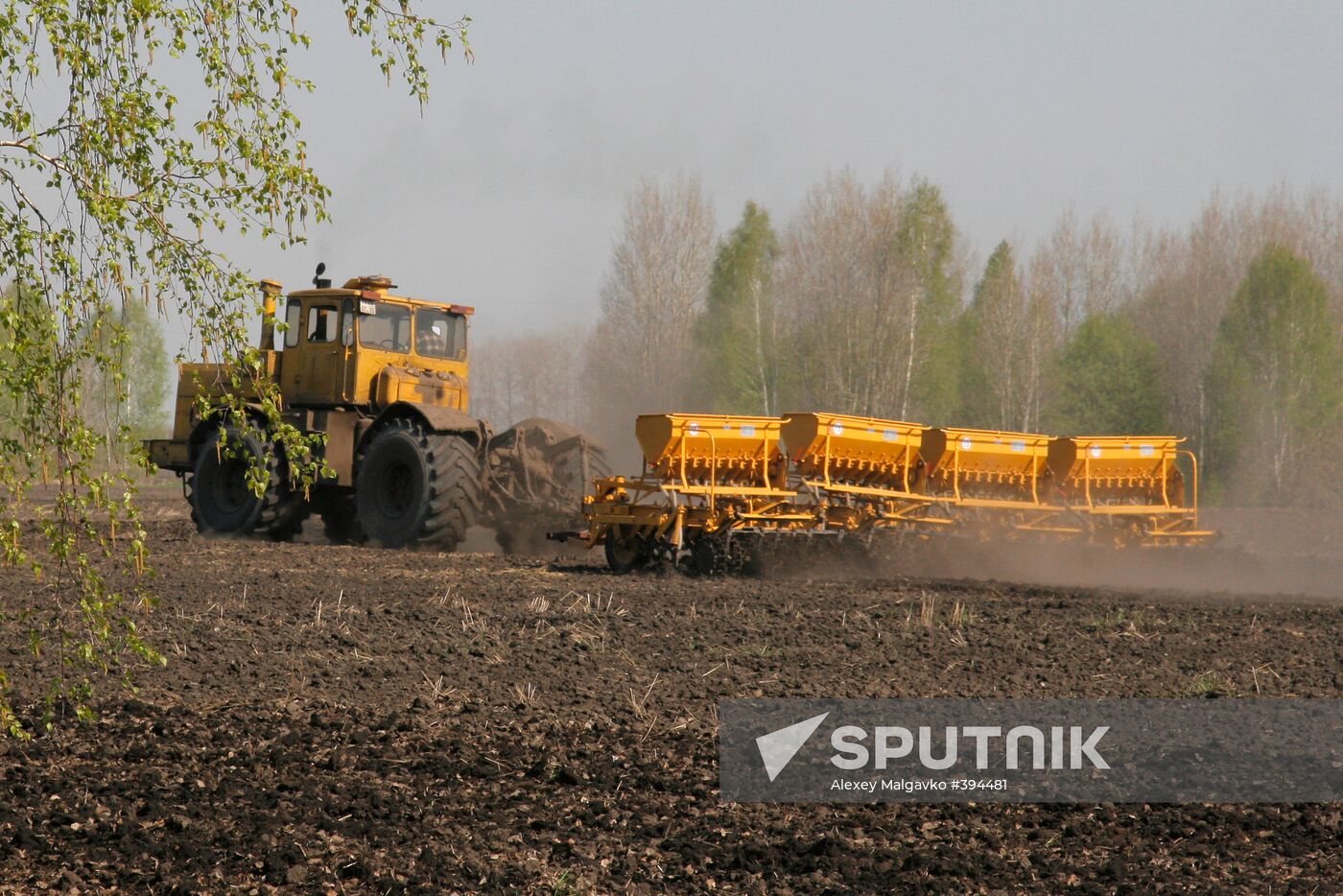 Sowing cereal crops in Omsk Region