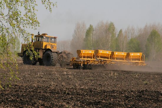 Sowing cereal crops in Omsk Region