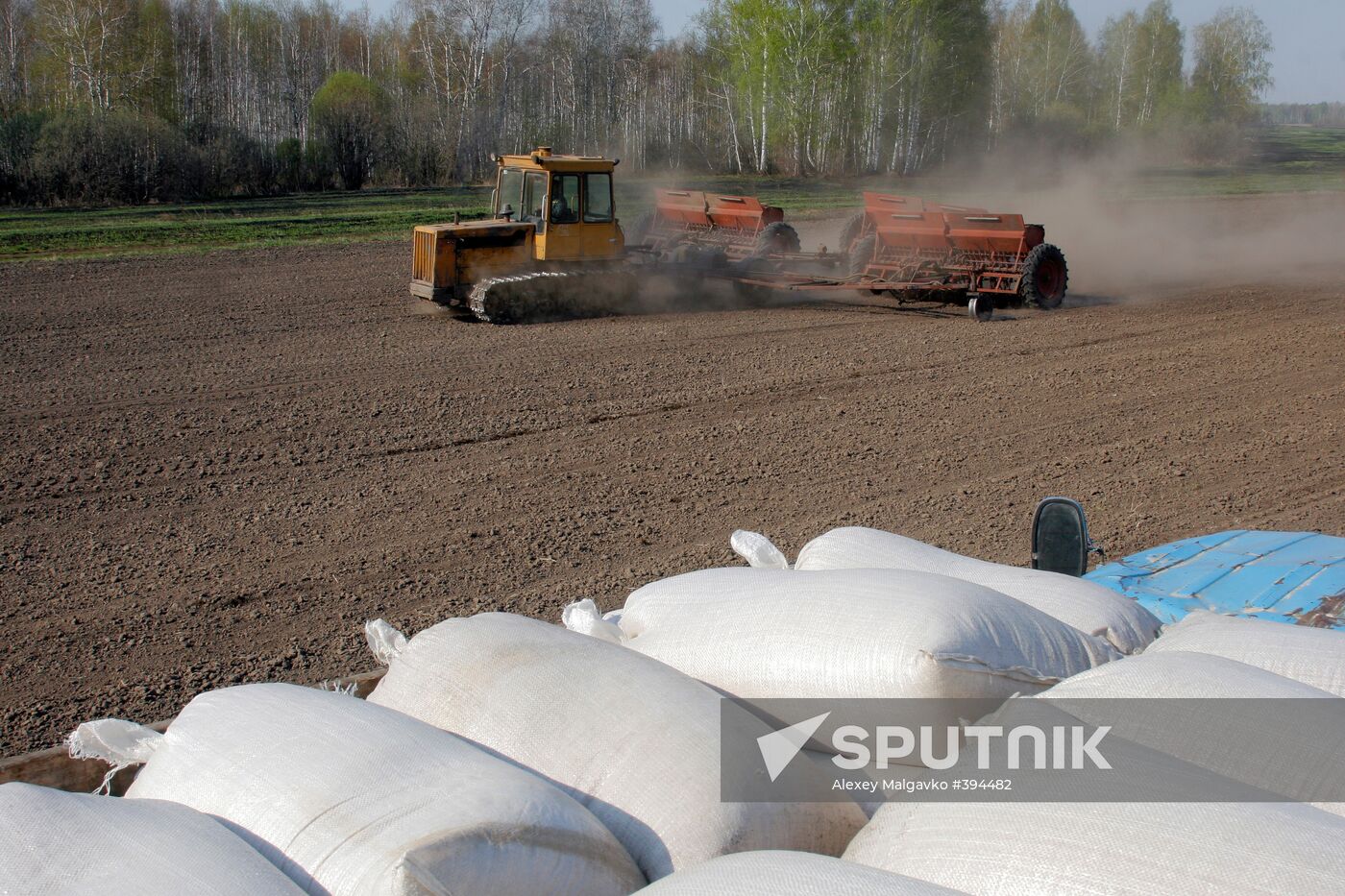 Sowing cereal crops in Omsk Region