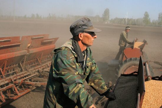 Sowing cereal crops in Omsk Region