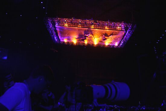 Viewers watching 2009 Eurovision Song Contest Final