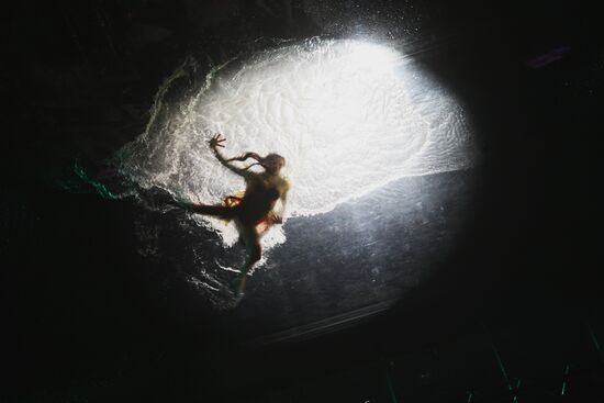 2009 Eurovision Song Contest Final