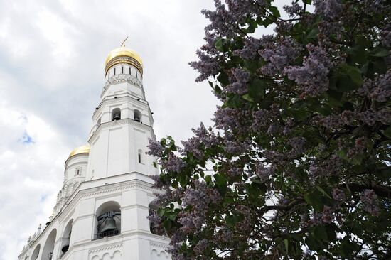 Ivan the Great Bell Tower opens to public after restoration