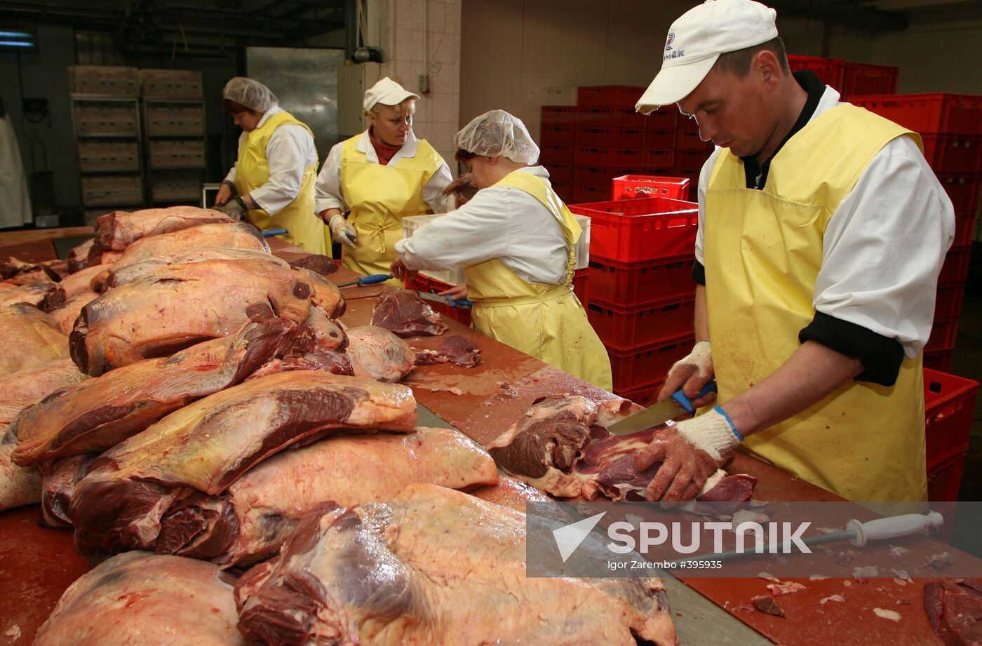 Meat processing factory Almak