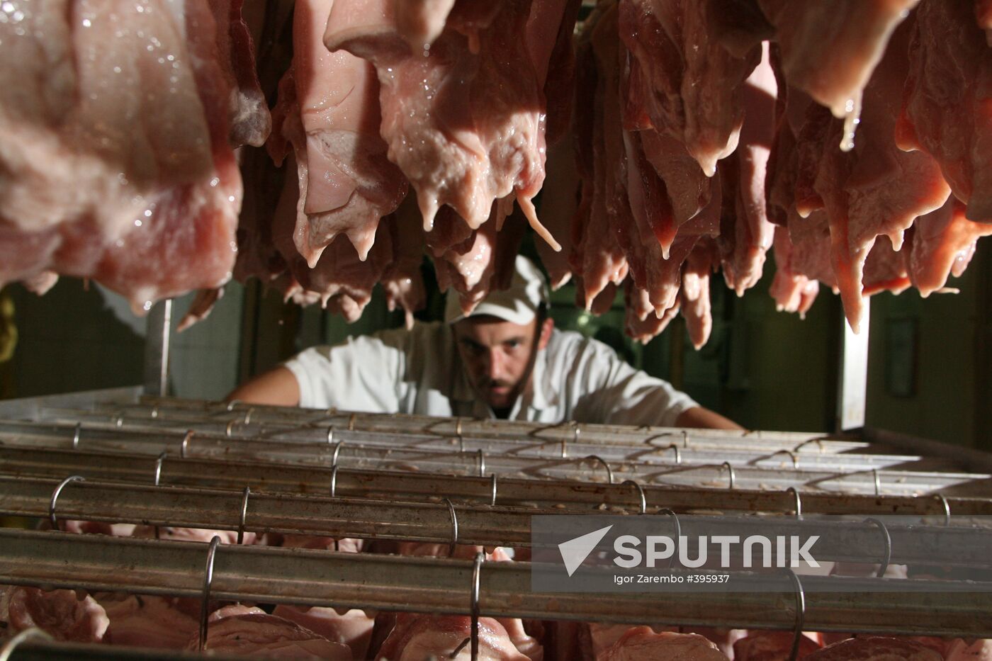 Meat processing factory Almak
