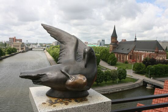 View of the Cathedral of Kaliningrad