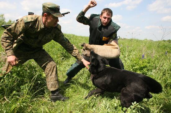 Competitions of canine teams of FSB Border Department