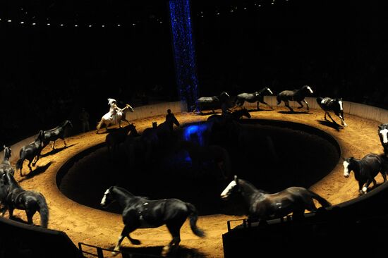 Performance Battuta by French equestrian theater Zingaro