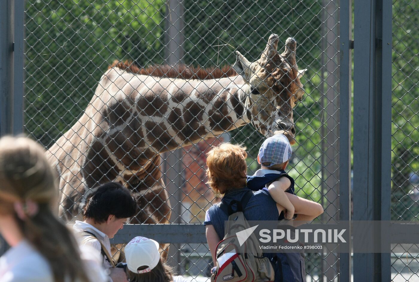 The Moscow Zoo
