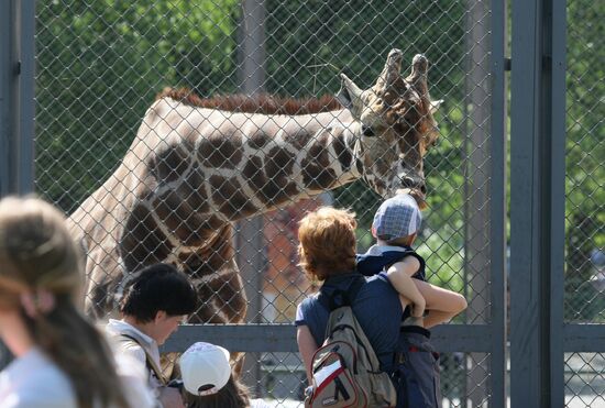 The Moscow Zoo