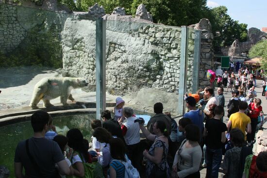 The Moscow Zoo