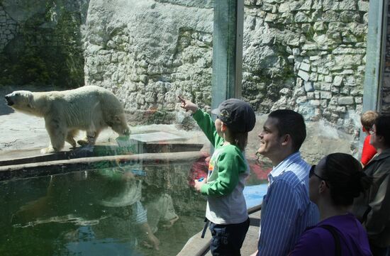The Moscow Zoo