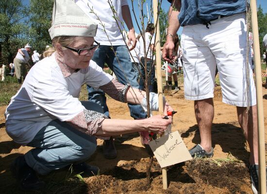 Voluntary work during Cherry Forest festival