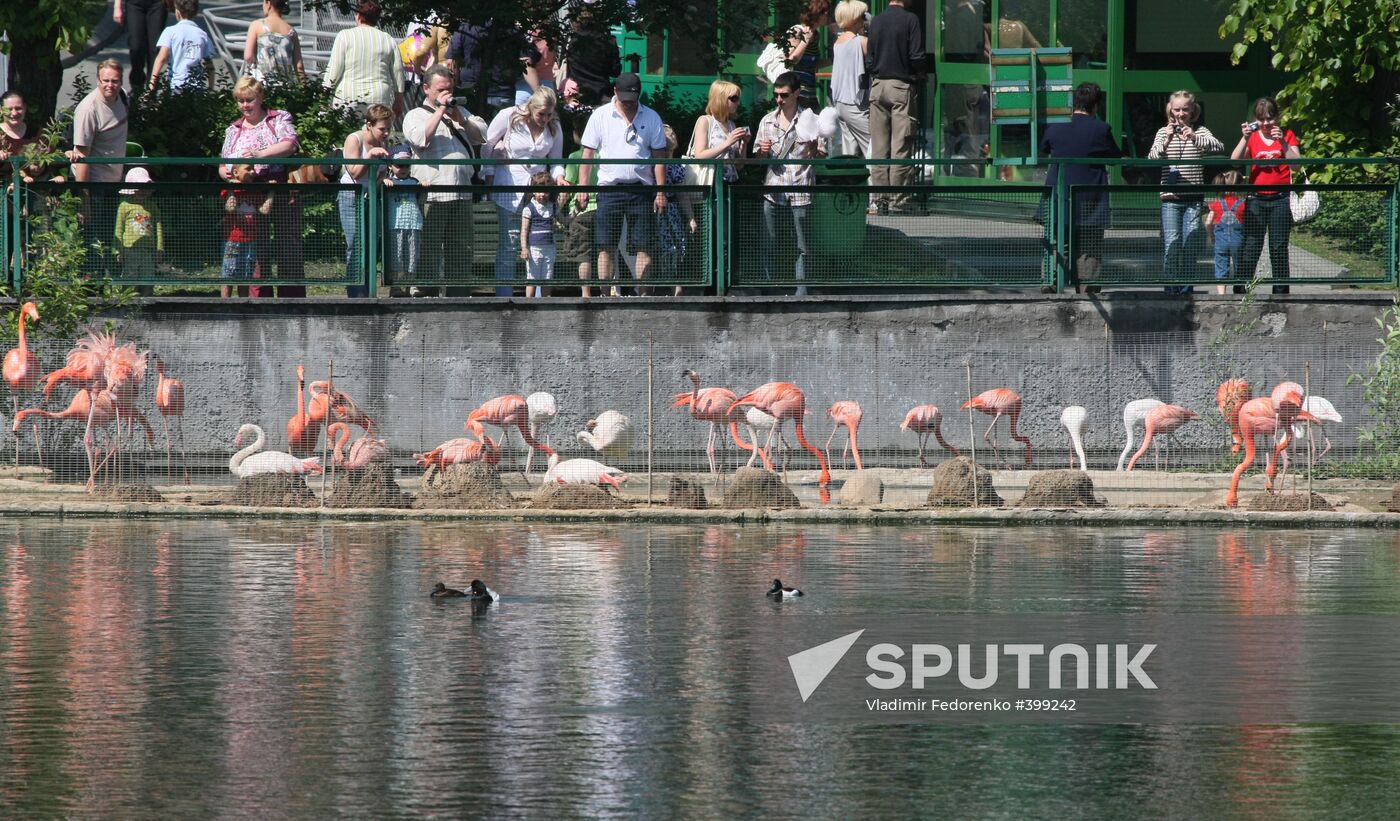 The Moscow Zoo
