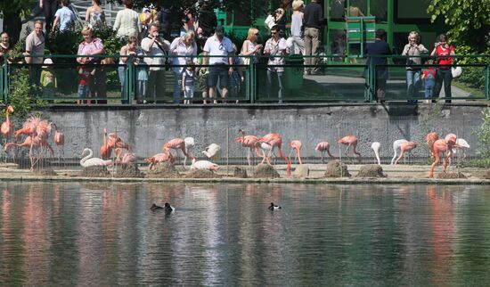 The Moscow Zoo
