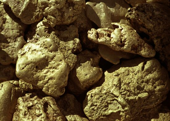 GOLD NUGGETS