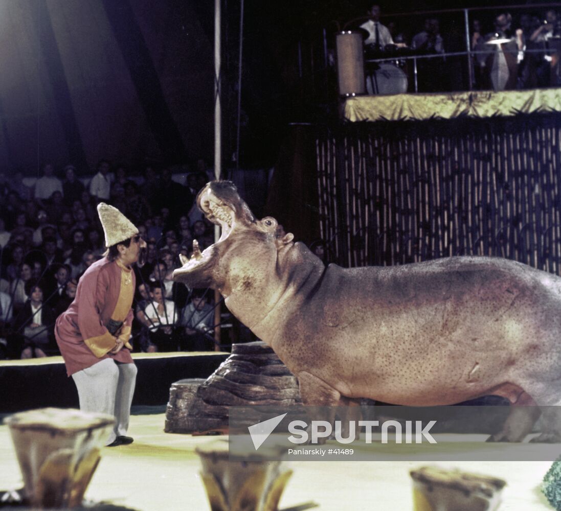 TRAINER ISAAKYAN HIPPOPOTAMUS CIRCUS