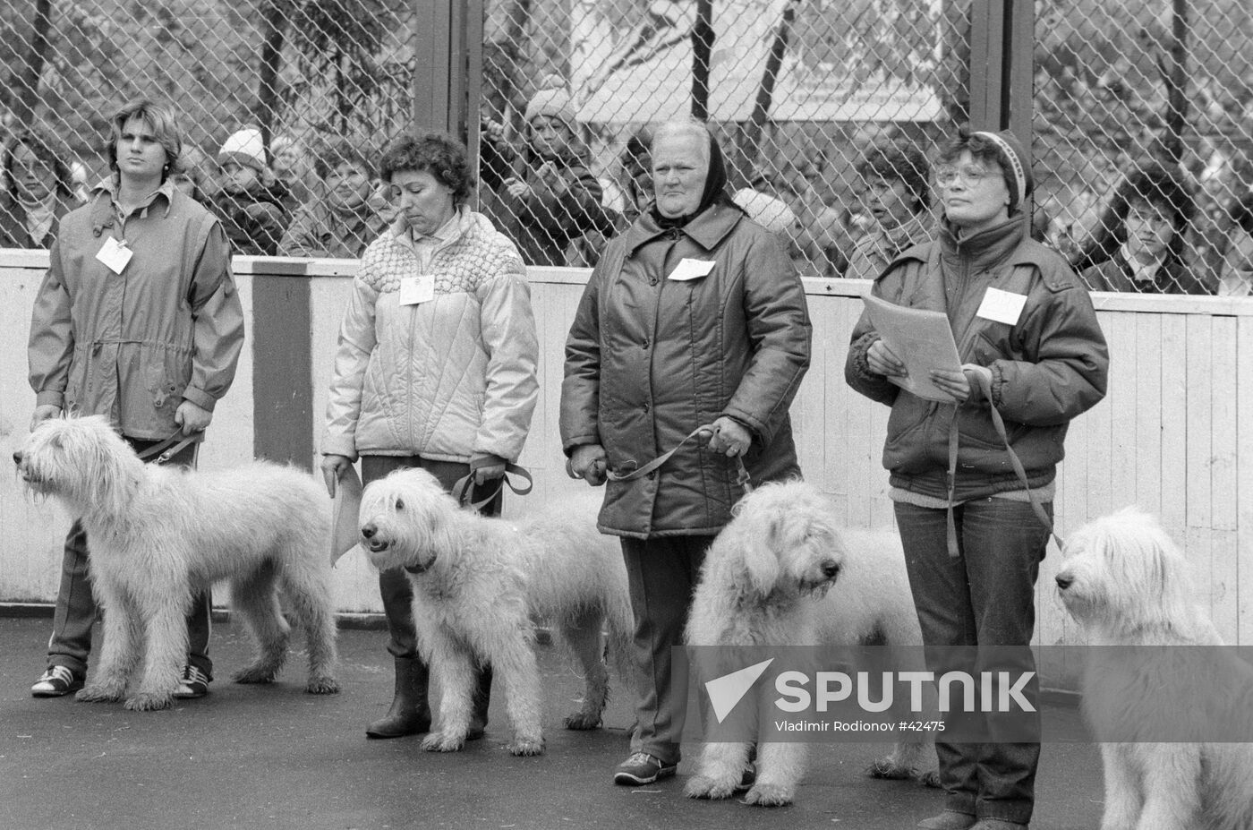 SHOW RUSSIAN WORKING DOGS DOSAAF