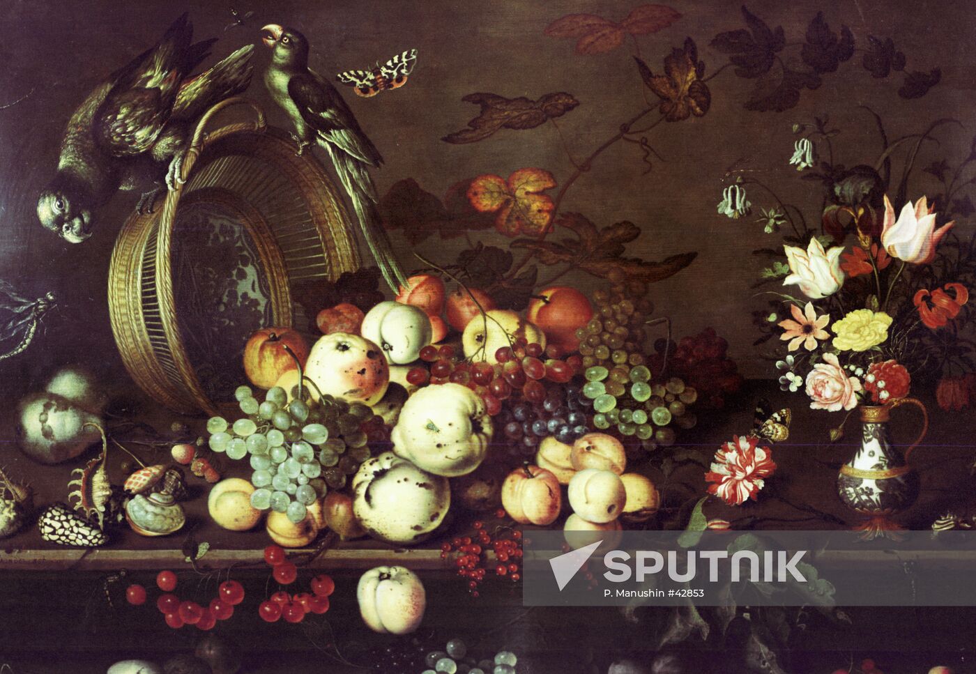 REPRODUCTION STILL-LIFE