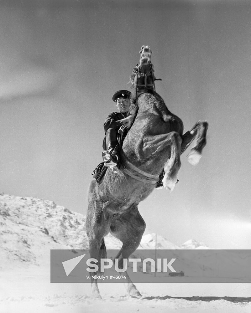 FRONTIER POST COMMANDER HORSE