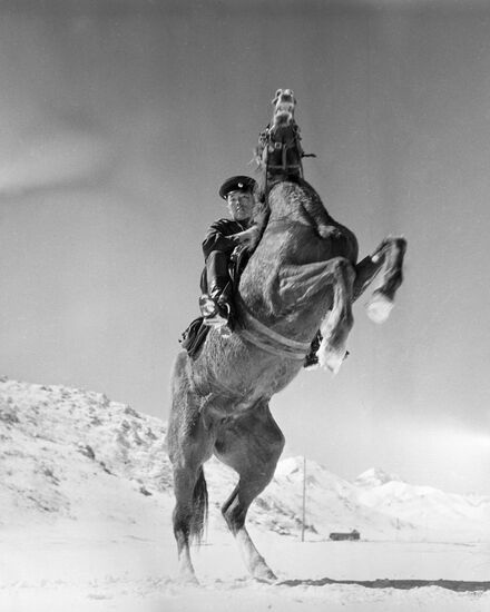 FRONTIER POST COMMANDER HORSE