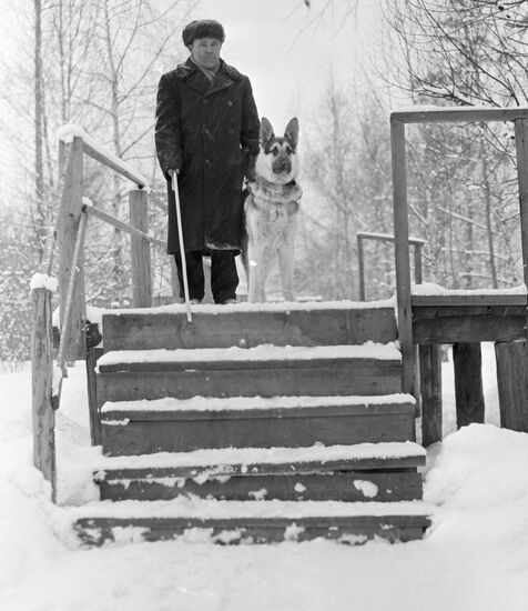 GUIDE DOG STAIRS TRAINING