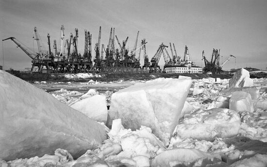 FLOATING ICE CRANES RIVER