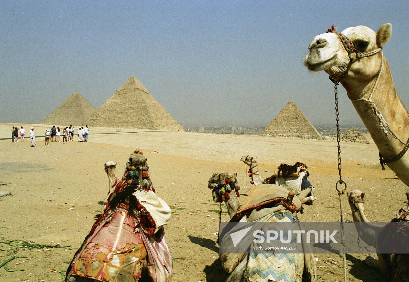 PYRAMIDS CAMELS