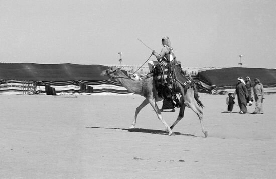 RIDER CAMEL TENTS BEDOUINS