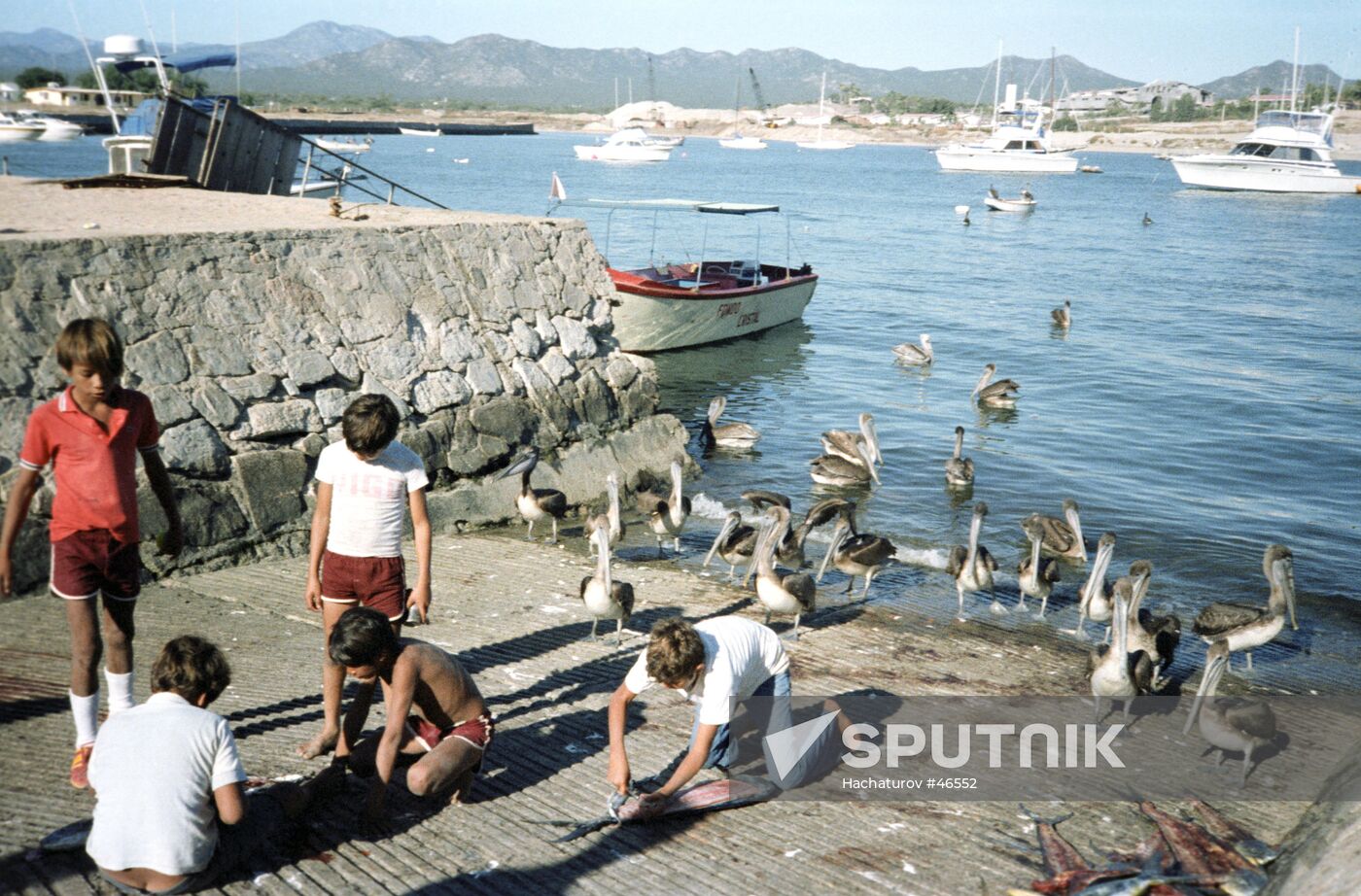 CHILDREN BAY