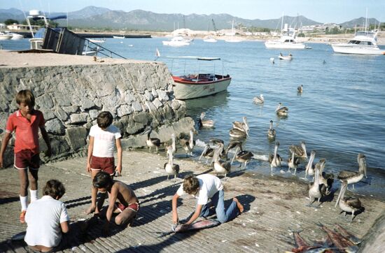 CHILDREN BAY