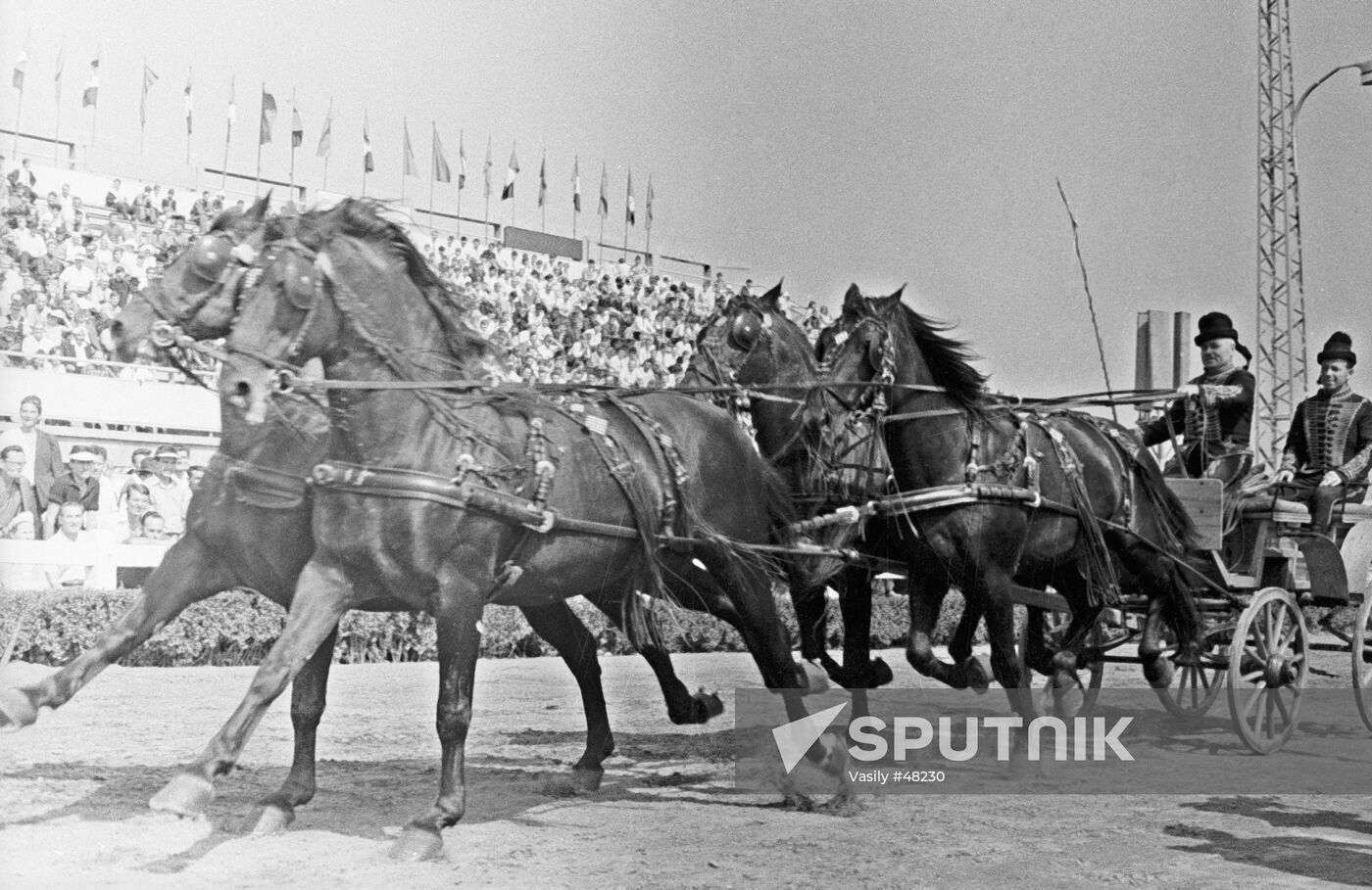 HIPPODROME  EQUIPAGE