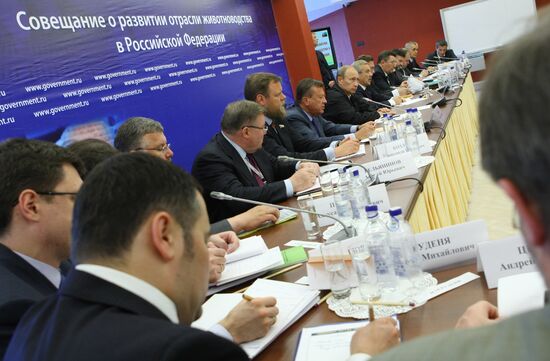 Vladimir Putin visits Belgorod Region