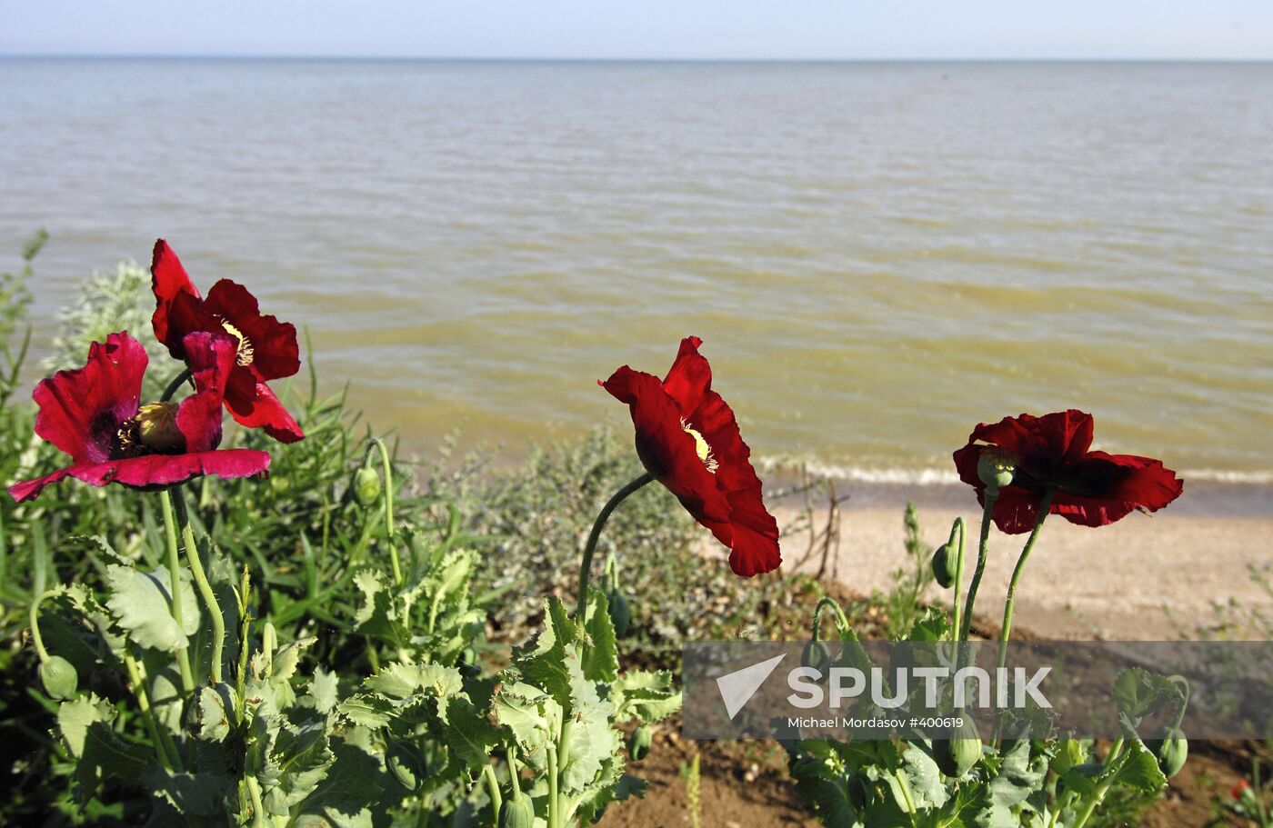 Azov-City gambling area in Krasnodar Territory